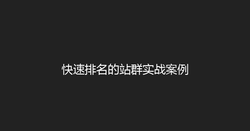 快速排名的站群实战案例 封面图