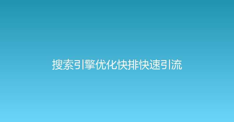 搜索引擎优化快排快速引流 封面图