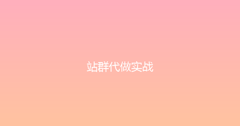 站群代做实战 封面图