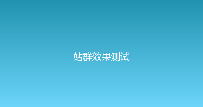 站群效果测试 封面图