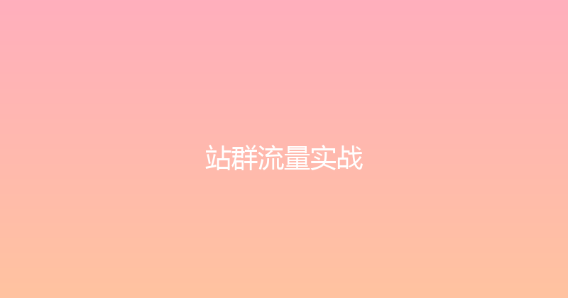 站群流量实战 封面图