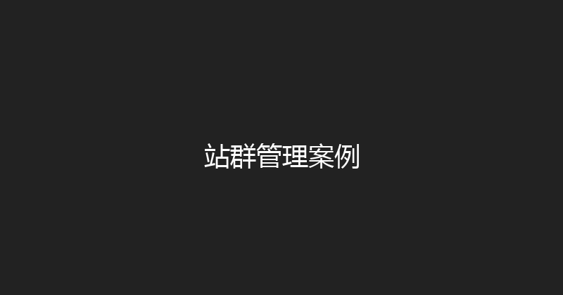 站群管理案例 封面图