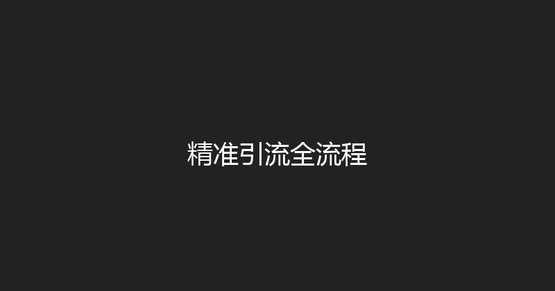 精准引流全流程 封面图