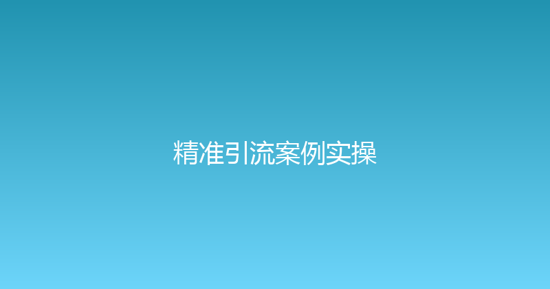 精准引流案例实操 封面图