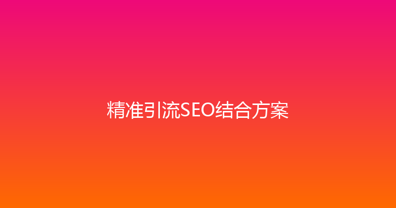精准引流SEO结合方案 封面图