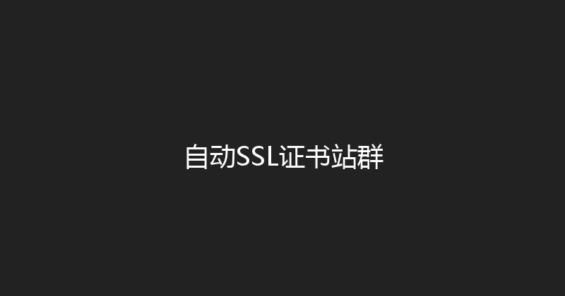 自动SSL证书站群 封面图