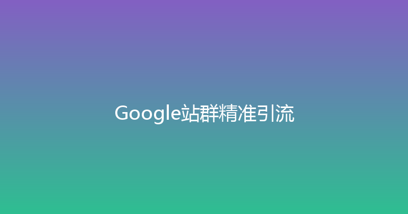 Google站群精准引流 封面图