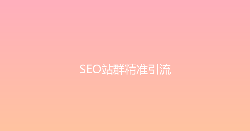 SEO站群精准引流 封面图